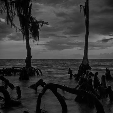 Dark Water, Lake Ponchartrain