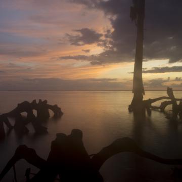 Orange Sunset Shore, Lake Ponchartrain