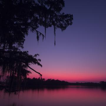 Tree Over Sunset, Tchefuncte River